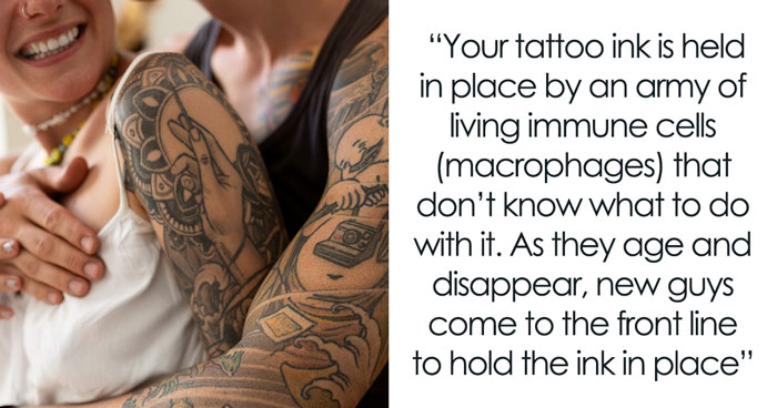 34 Crazy Human Body Facts That’ll Make You Go ‘Wait, What?!’