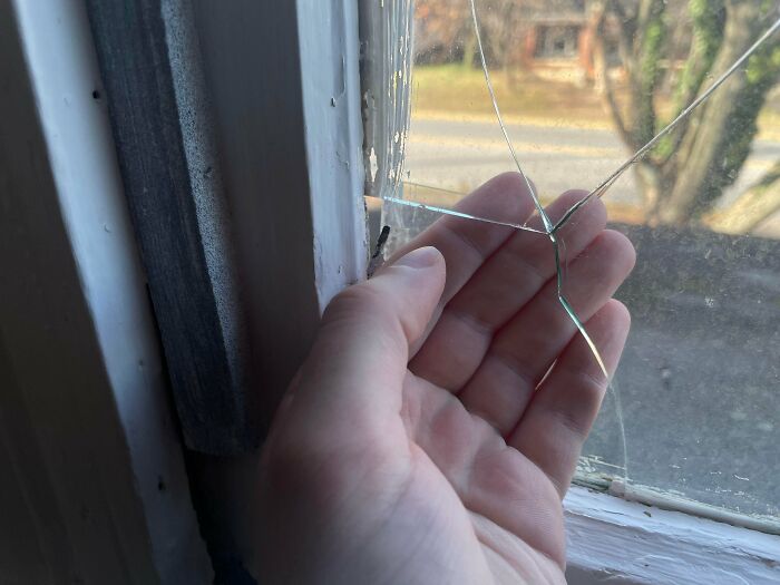 Landlord Fails That Will Make You Say "Wait, They Actually Did That?"