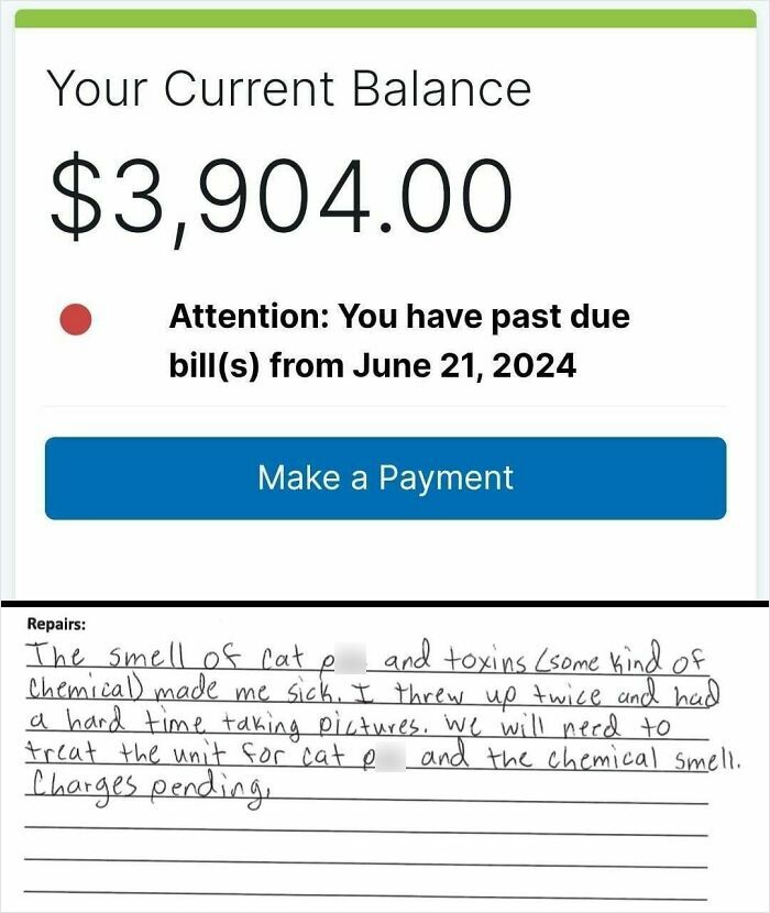 Landlord Fails That Will Make You Say "Wait, They Actually Did That?"