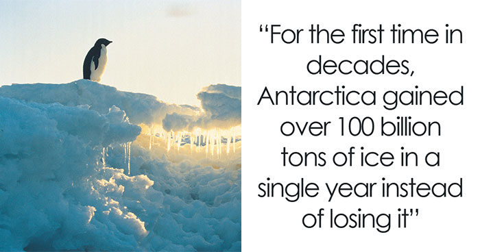 30 Wildly Awesome Things You Probably Didn’t Know Happened in the World