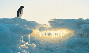 30 Wildly Awesome Things You Probably Didn’t Know Happened in the World