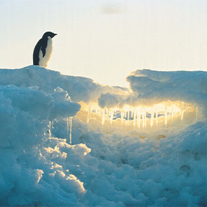 30 Wildly Awesome Things You Probably Didn’t Know Happened in the World