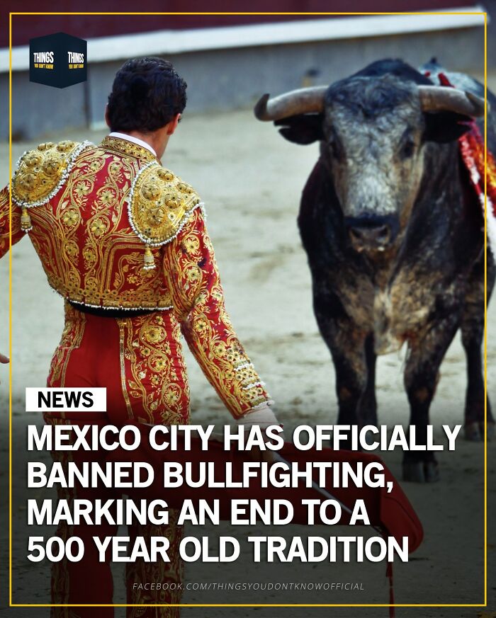 30 Wildly Awesome Things You Probably Didn’t Know Happened in the World