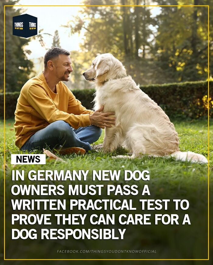 30 Wildly Awesome Things You Probably Didn’t Know Happened in the World