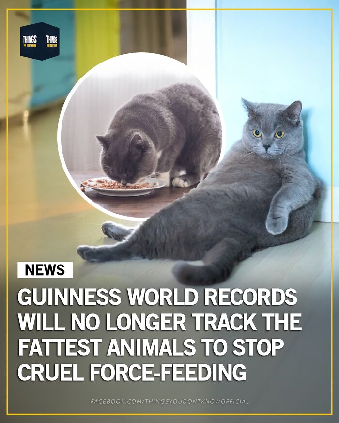 30 Wildly Awesome Things You Probably Didn’t Know Happened in the World