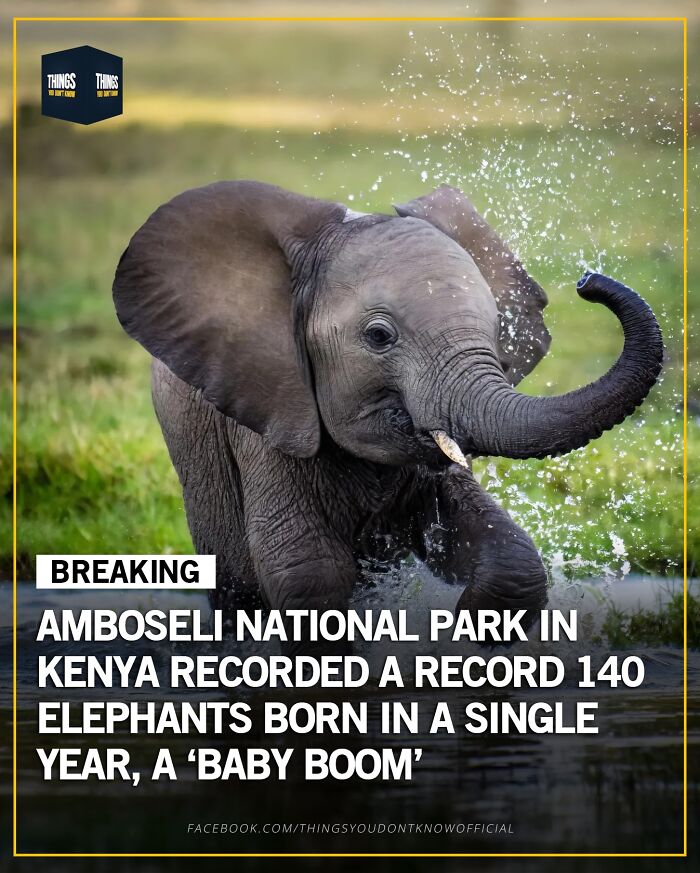 30 Wildly Awesome Things You Probably Didn’t Know Happened in the World