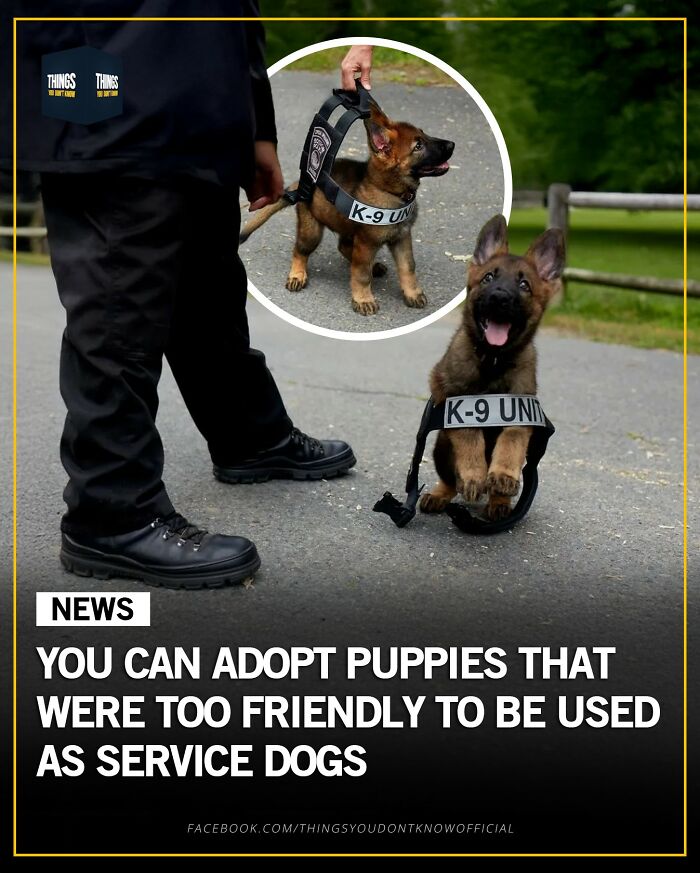 30 Wildly Awesome Things You Probably Didn’t Know Happened in the World