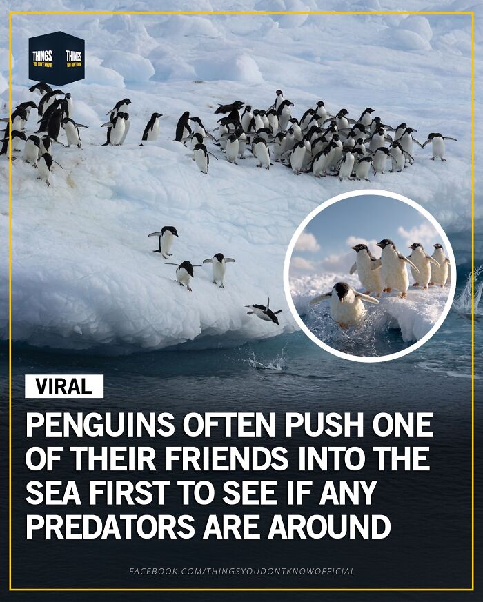 30 Wildly Awesome Things You Probably Didn’t Know Happened in the World