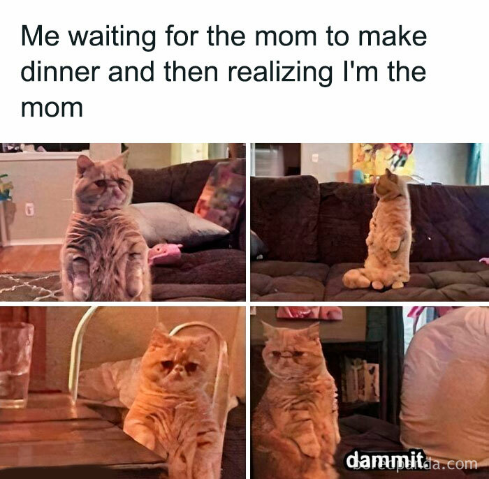 Wait, These Mom Memes Are Hilariously Spot On!