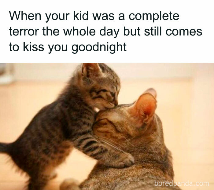 Wait, These Mom Memes Are Hilariously Spot On!