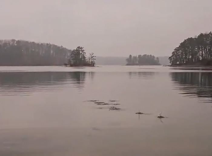 The Lady of Lake Lanier Who Lost Her Hands (Georgia, 1958)