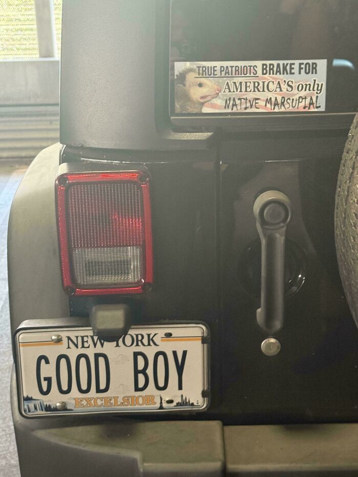 Bumper Sticker Beats Plate