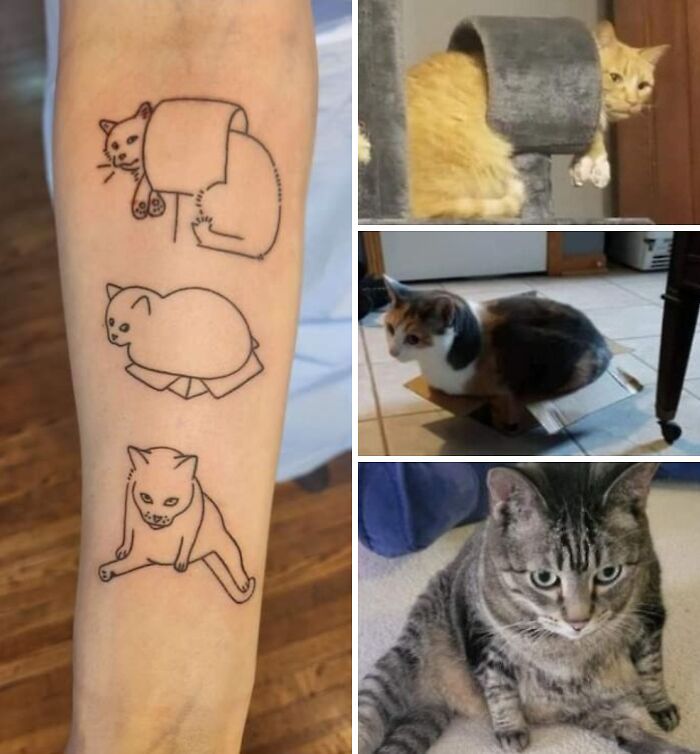 Got Tattoos Of My Silly Cats And I’m Obsessed