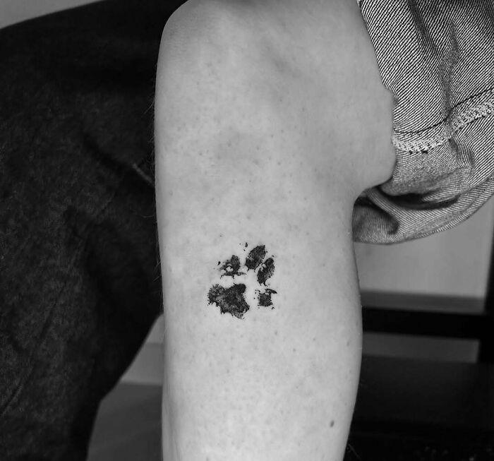 Paw Print Tattoo In Memory Of An 18-Year Old Cat – So Sweet