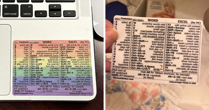 Wait, They Actually Ranked These 24 White Elephant Gifts?!