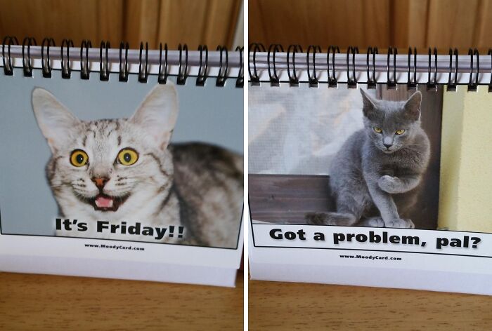 Desk Signs: Way Cooler Than That Old ‘Hang In There’ Cat