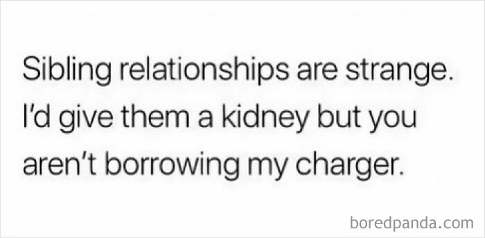 Siblings: The Ultimate Meme Goldmine You Didn’t Know You Needed