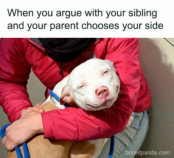 Siblings: The Ultimate Meme Goldmine You Didn’t Know You Needed