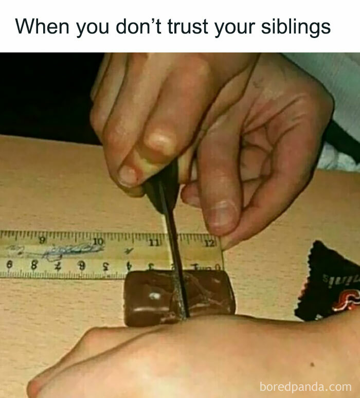 Siblings: The Ultimate Meme Goldmine You Didn’t Know You Needed