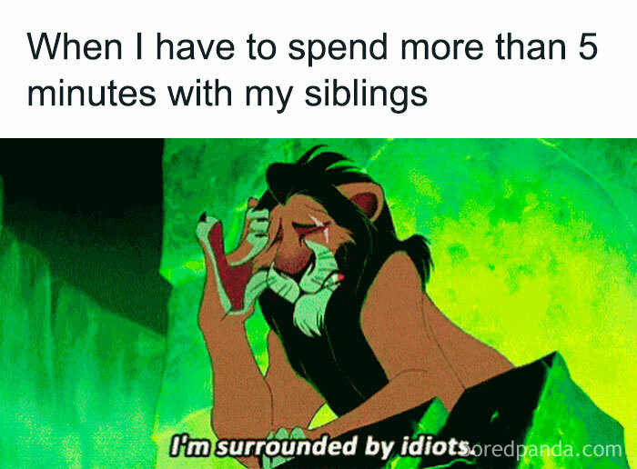 Siblings: The Ultimate Meme Goldmine You Didn’t Know You Needed