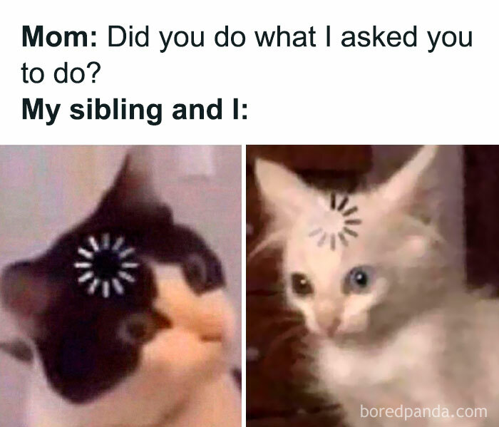 Siblings: The Ultimate Meme Goldmine You Didn’t Know You Needed