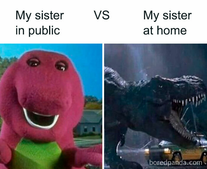 Siblings: The Ultimate Meme Goldmine You Didn’t Know You Needed