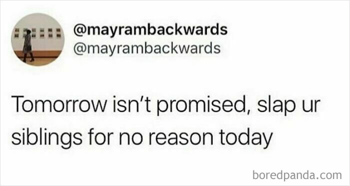 Siblings: The Ultimate Meme Goldmine You Didn’t Know You Needed