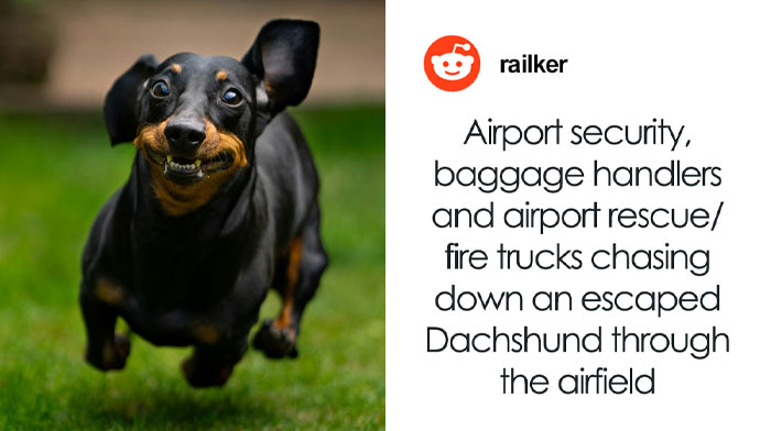 Wait, They Actually Ranked These Wild Airport Stories?!