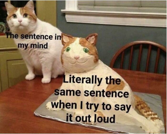 Every. Single. Time. That Moment You Know Too Well