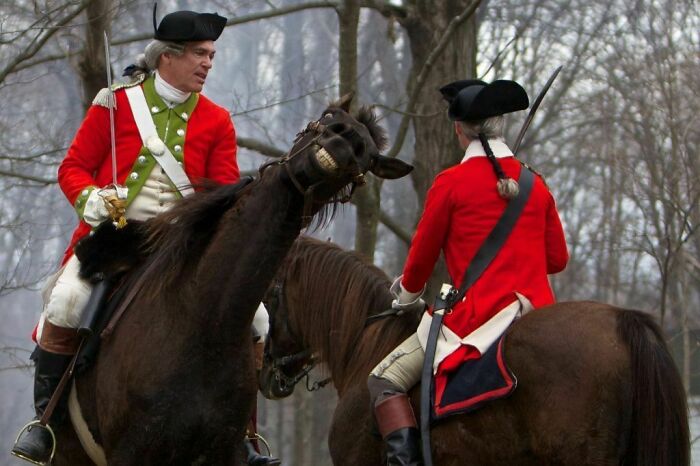 First Revolutionary War Reenactment, Horse Knows Camera's Watching