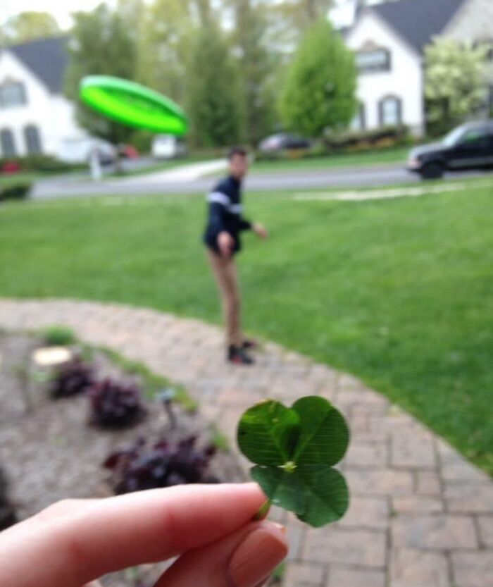 One Year Ago My Girlfriend Found a Lucky 4-Leaf Clover