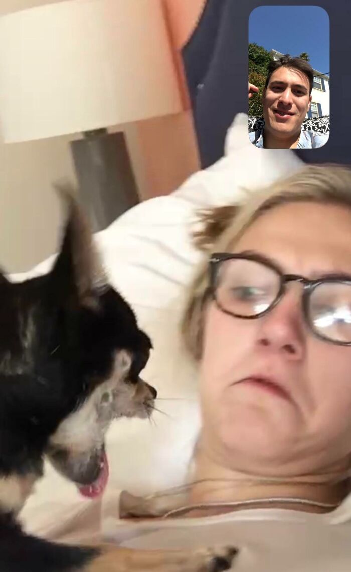 Our FaceTime Froze Right When Dog Nearly Puked on Girlfriend