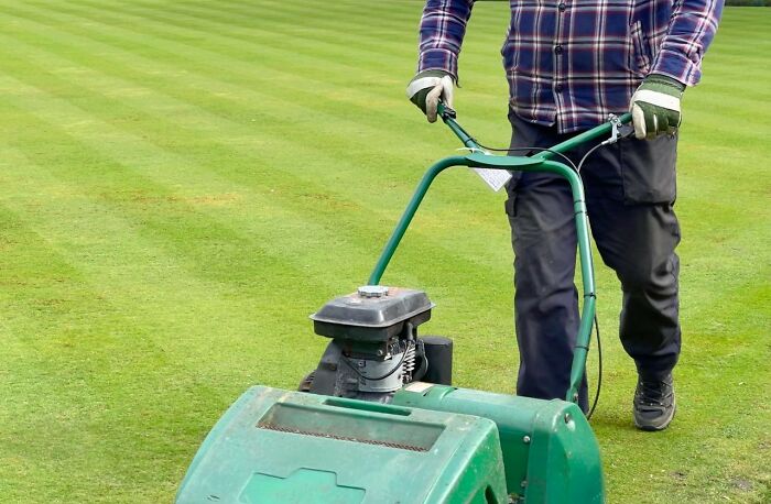 Wild Stories That Sound Fake But Are Totally Real