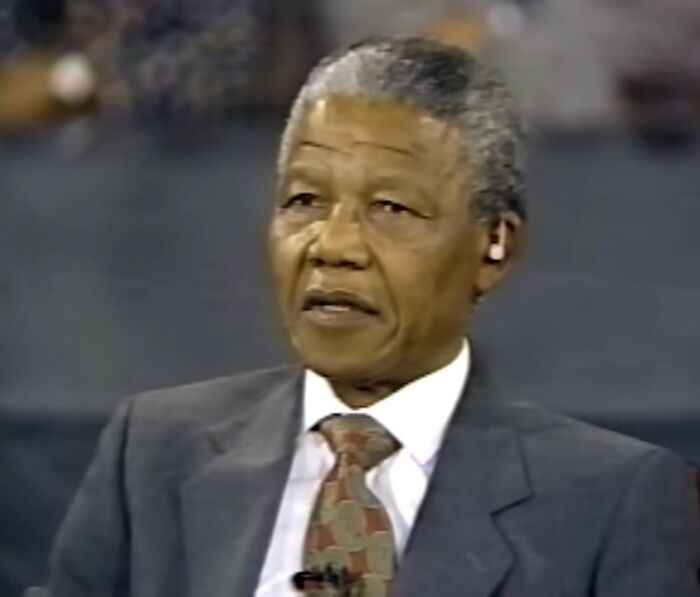 Wild Stories That Sound Fake But Are Totally Real