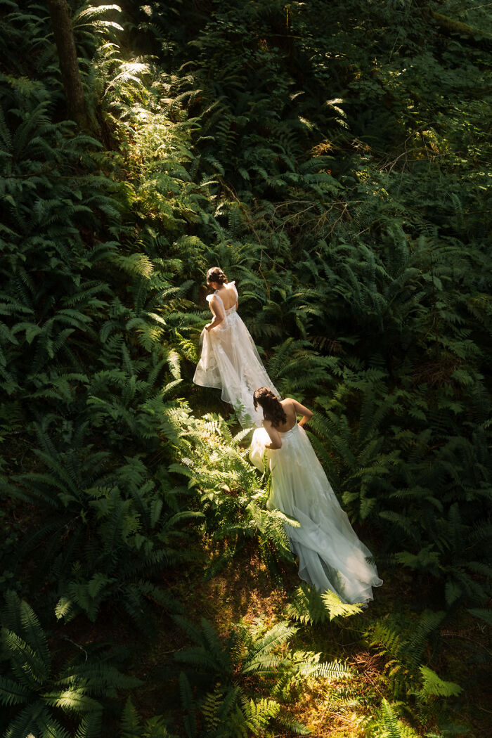 Henry Tieu’s Epic Forest Love Snap in Mount Baker, WA