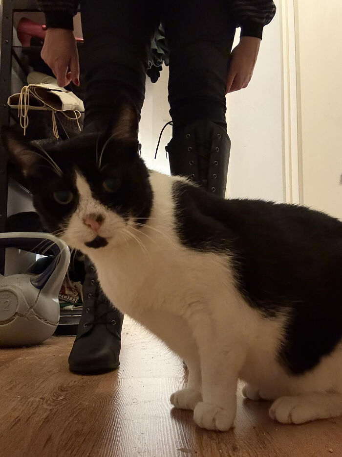 Timer Fail: Boots Edition