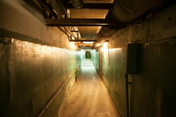 33 Historical Facts That Totally Surprise You (Like, How Did We Not Know This?!?)