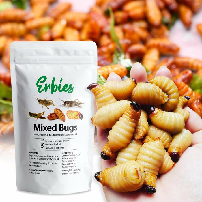 Future Food Alert: Edible Bug Snacks: Get Ahead of the Crunch