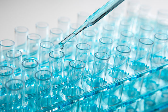 The Wildest Things People Discovered from Their DNA Tests (Like, Whoa!)