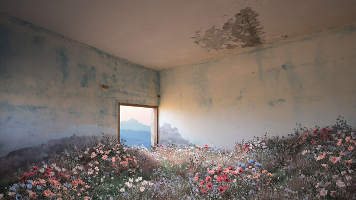 Check Out This Wild Art Show Where Nature Sneaks Into Old Buildings!