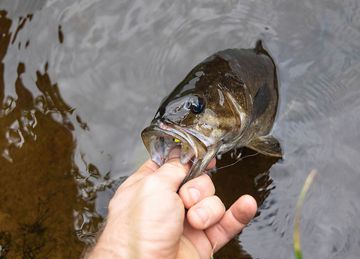 30 Times People Served Revenge That’s So Satisfying You’ll Wish You Were There