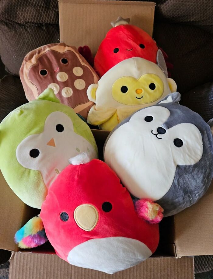 Building A Plushie Fortress Because Real Marshmallows Are Way Too Sticky (3-Piece Squishmallows Mystery Box)