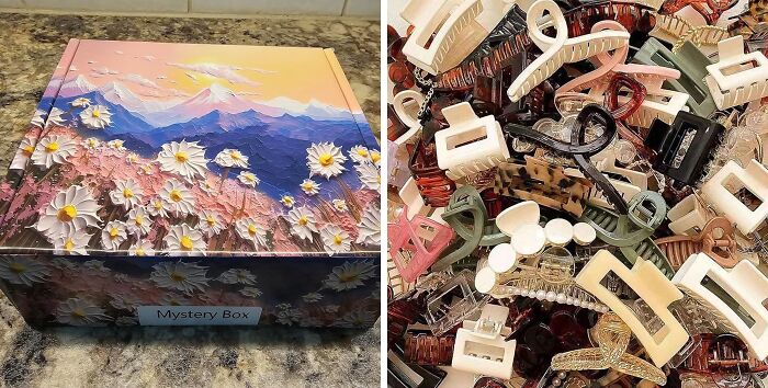 Fake That You Actually Brushed Your Hair By Distracting Everyone With Shiny Clips From The Hair Accessories Mystery Box