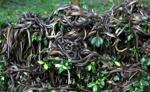 The 30 Wildest, Most Danger-Ready Places You'd Probably Never Visit (But Maybe Peek At!)