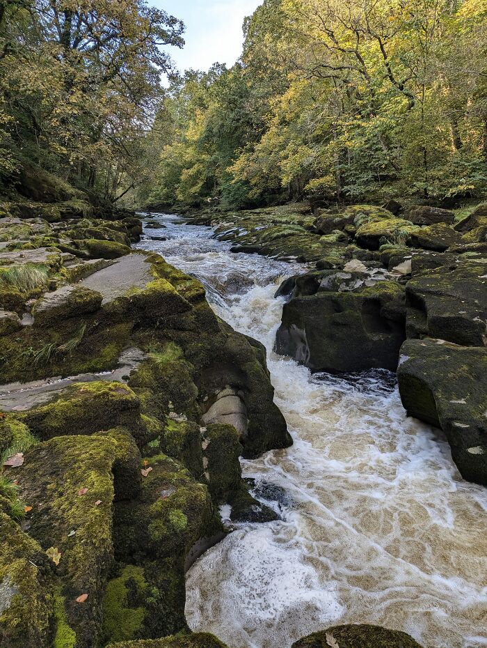 #24 The Bolton Strid, England (The River That Looks Chill but Will Munch You)