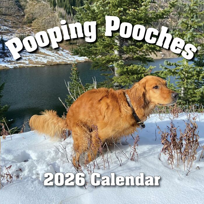 Pooping Pooches Calendar: The Gross, The Gag, The Giggle