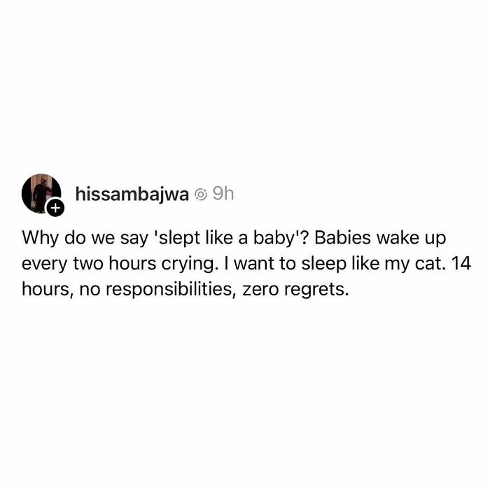 When Cats Get Their Goofy On: The Weirdest, Most Hilarious Cat Pics Ever