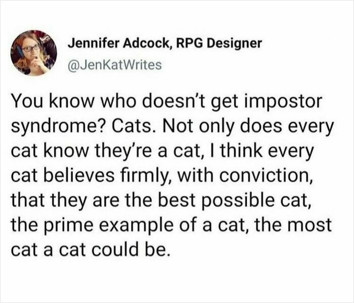 When Cats Get Their Goofy On: The Weirdest, Most Hilarious Cat Pics Ever