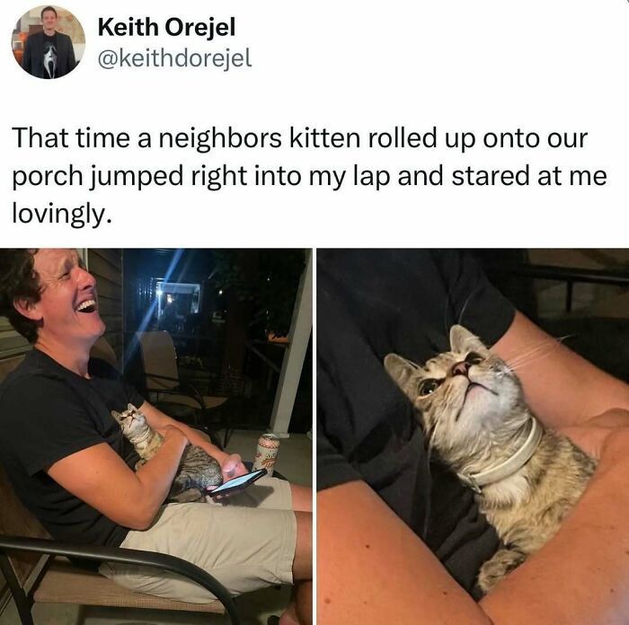 When Cats Get Their Goofy On: The Weirdest, Most Hilarious Cat Pics Ever