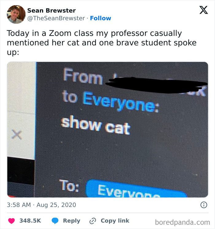 When Cats Get Their Goofy On: The Weirdest, Most Hilarious Cat Pics Ever